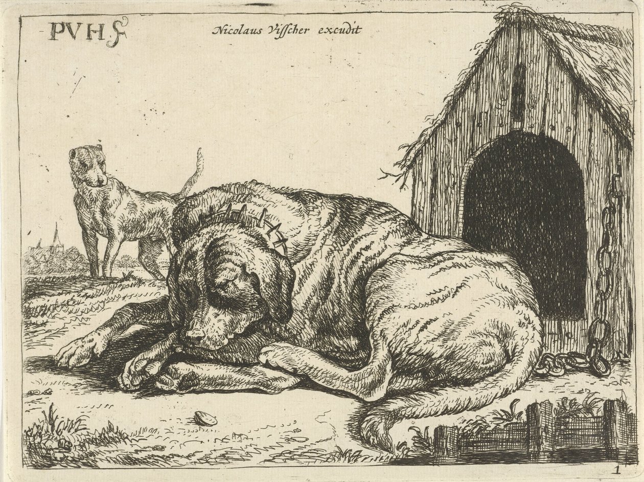 Liegender Hund an einer Kette von Pauwels van Hillegaert