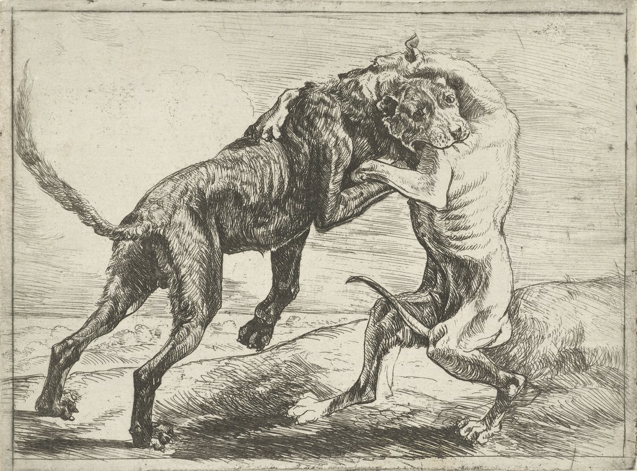 Zwei kämpfende Hunde von Pauwels van Hillegaert