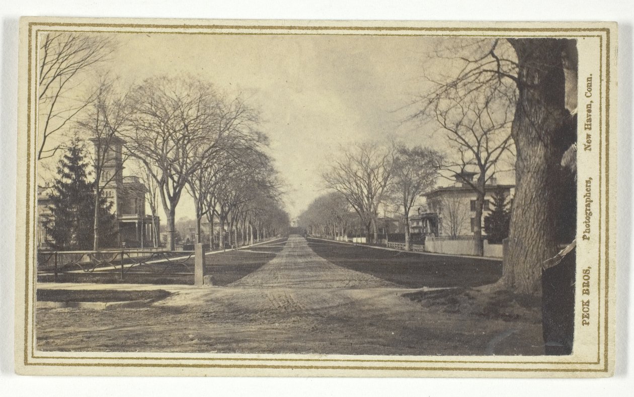 Hillhouse Avenue von Peck Brothers