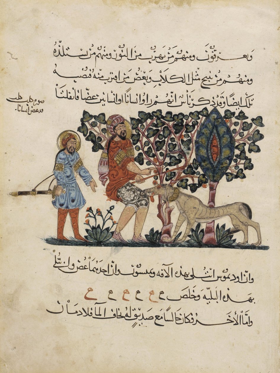 Folio aus einer arabischen Übersetzung der Materia Medica von Dioscorides von Pedanius Dioscorides