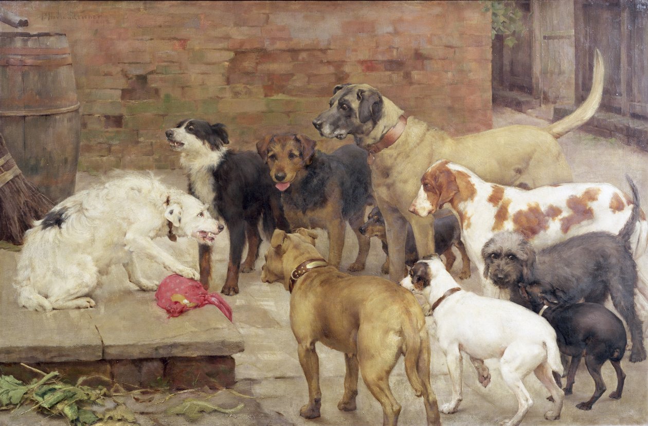 Der Hund mit dem Abendessen seines Herrn, 1892 von Percy Harland Fisher