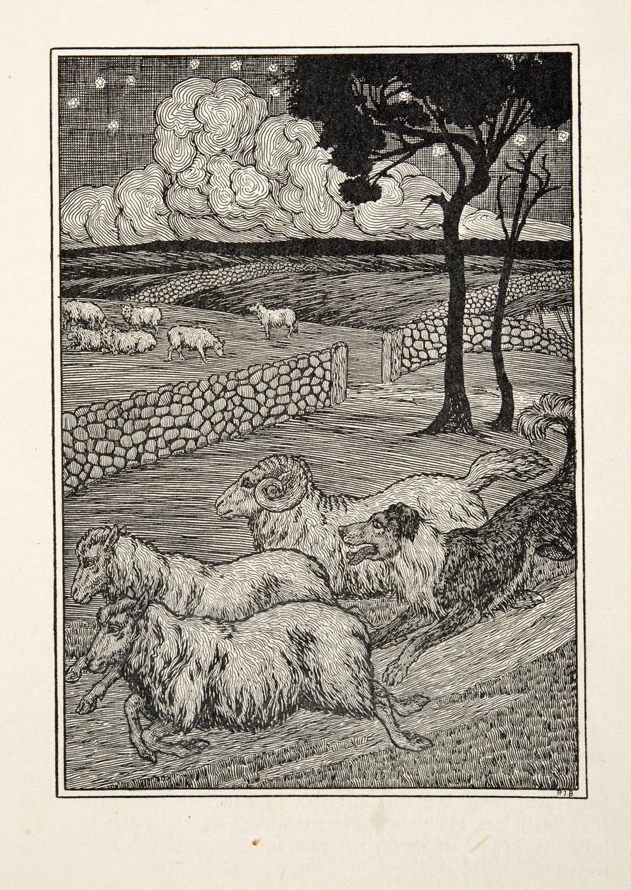Ein hundeartiger Schafsdieb, aus Hundert Anekdoten über Tiere, veröffentlicht 1924 von Percy J. Billingshurst
