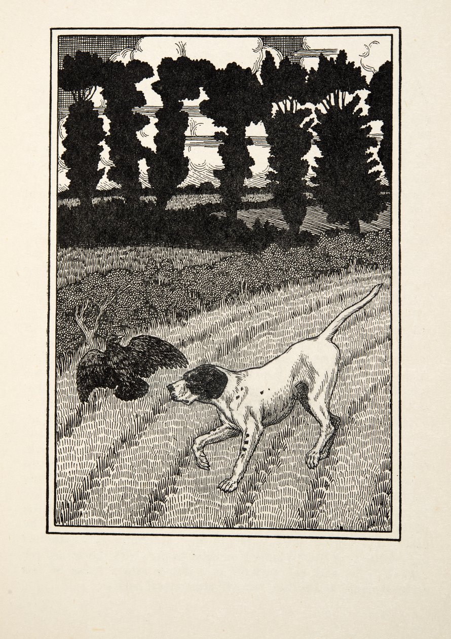 Den Vogelfänger täuschen, aus Hundert Anekdoten über Tiere, veröffentlicht 1924 von Percy J. Billingshurst