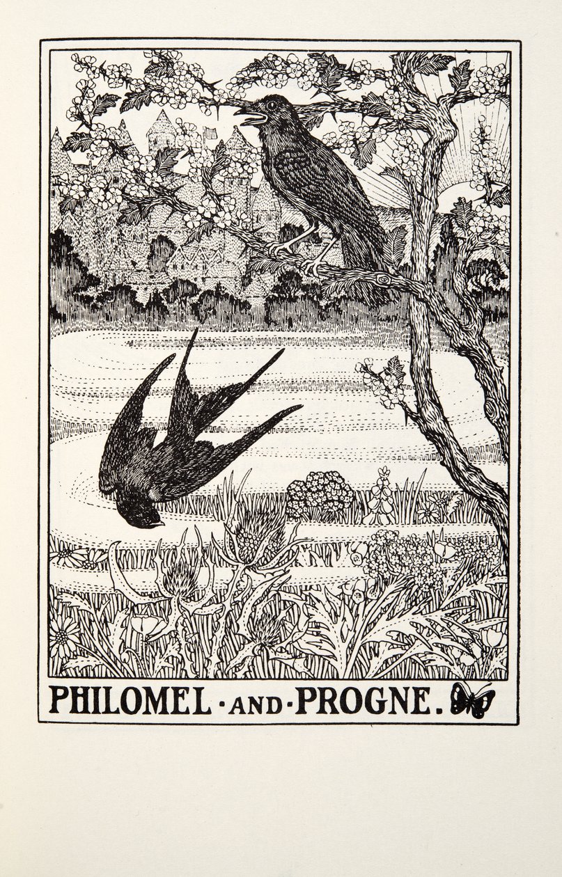 Philomel und Progne, aus Fontaine Fabeln, veröffentlicht 1905 von Percy J. Billingshurst