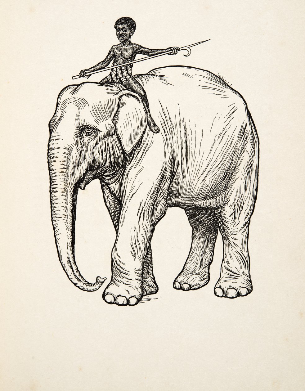 Reue, aus Hundert Anekdoten über Tiere, veröffentlicht 1924 von Percy J. Billingshurst