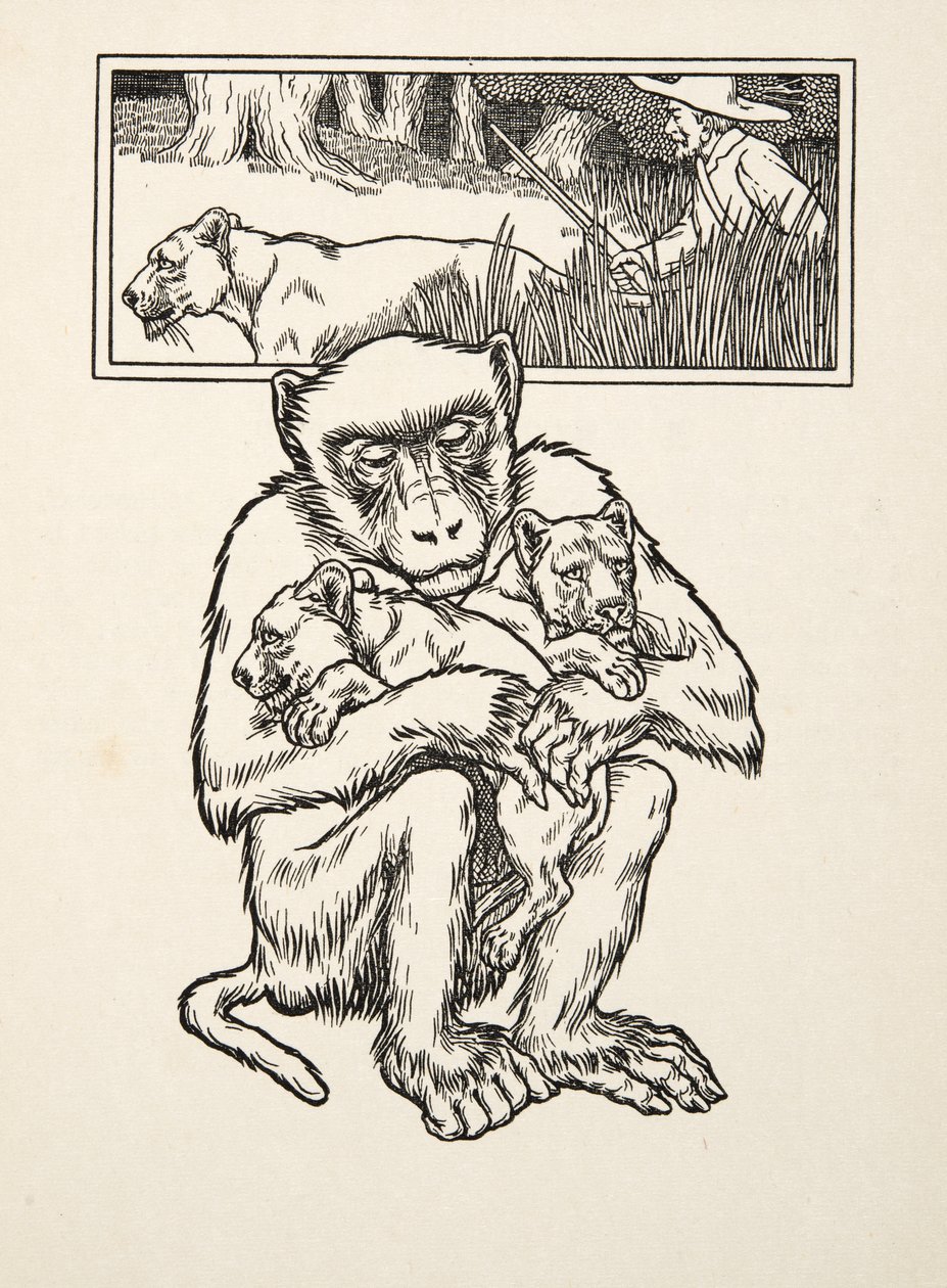 Hilfe erbitten, aus Hundert Anekdoten von Tieren, veröffentlicht 1924 von Percy J. Billingshurst