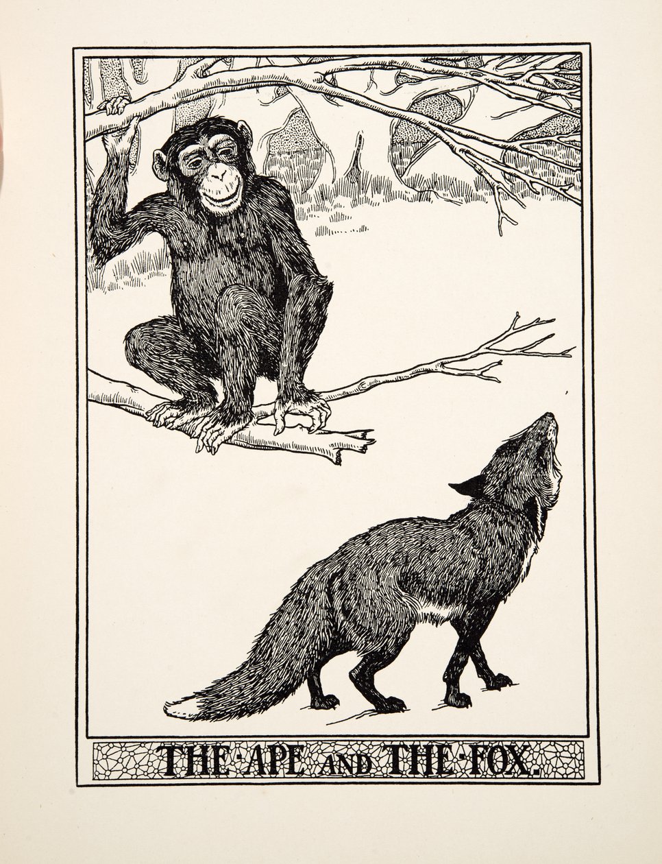 Der Affe und der Fuchs, aus Hundert Fabeln von Äsop, veröffentlicht 1903 (Gravur) von Percy J. Billingshurst