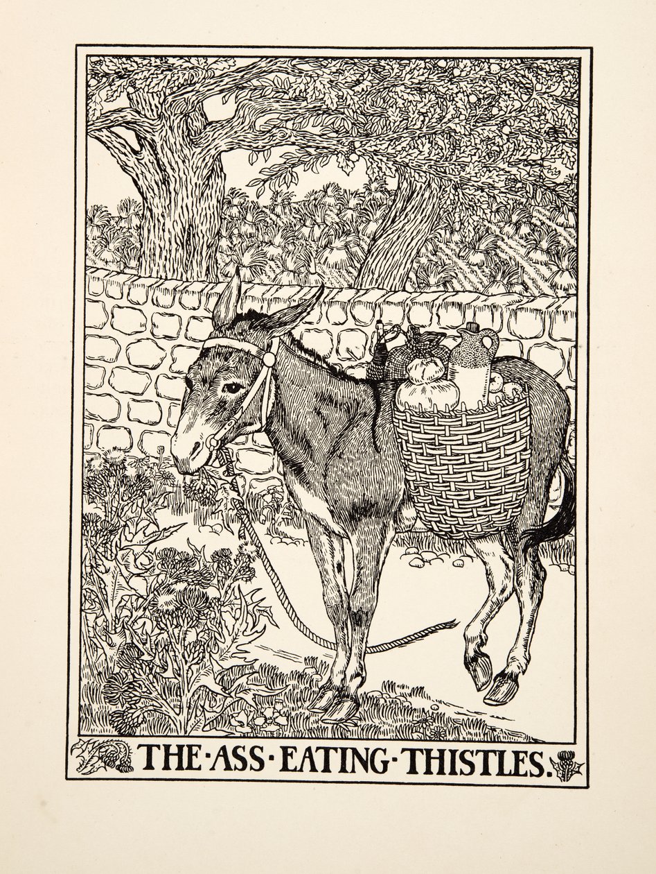 Der Esel, der Disteln frisst, aus Hundert Fabeln von Aesop, veröffentlicht 1903 von Percy J. Billingshurst
