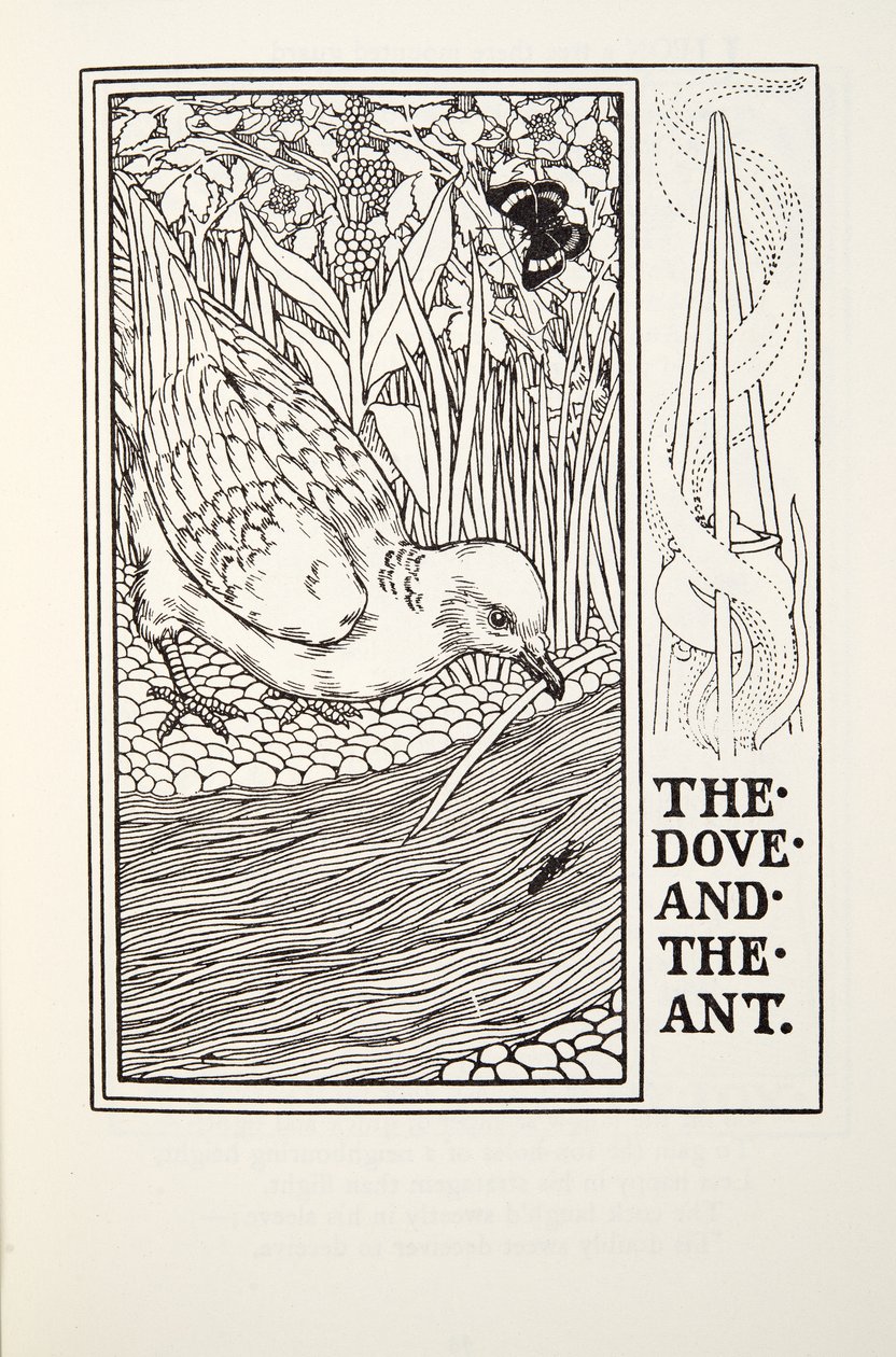 Die Taube und die Ameise, aus Fontaine Fabeln, veröffentlicht 1905 von Percy J. Billingshurst
