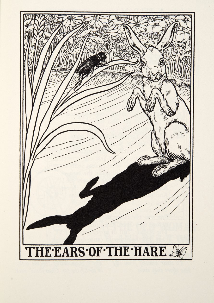 Die Ohren des Hasen, aus Fontaine Fables, veröffentlicht 1905 von Percy J. Billingshurst