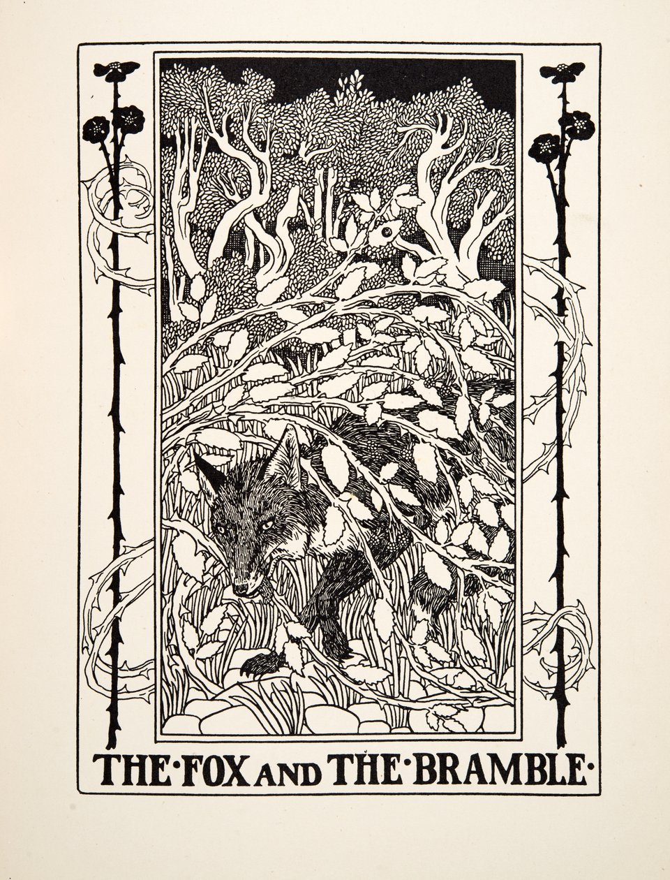 Der Fuchs und der Brombeerstrauch, aus Hundert Fabeln von Äsop, veröffentlicht 1903 von Percy J. Billingshurst