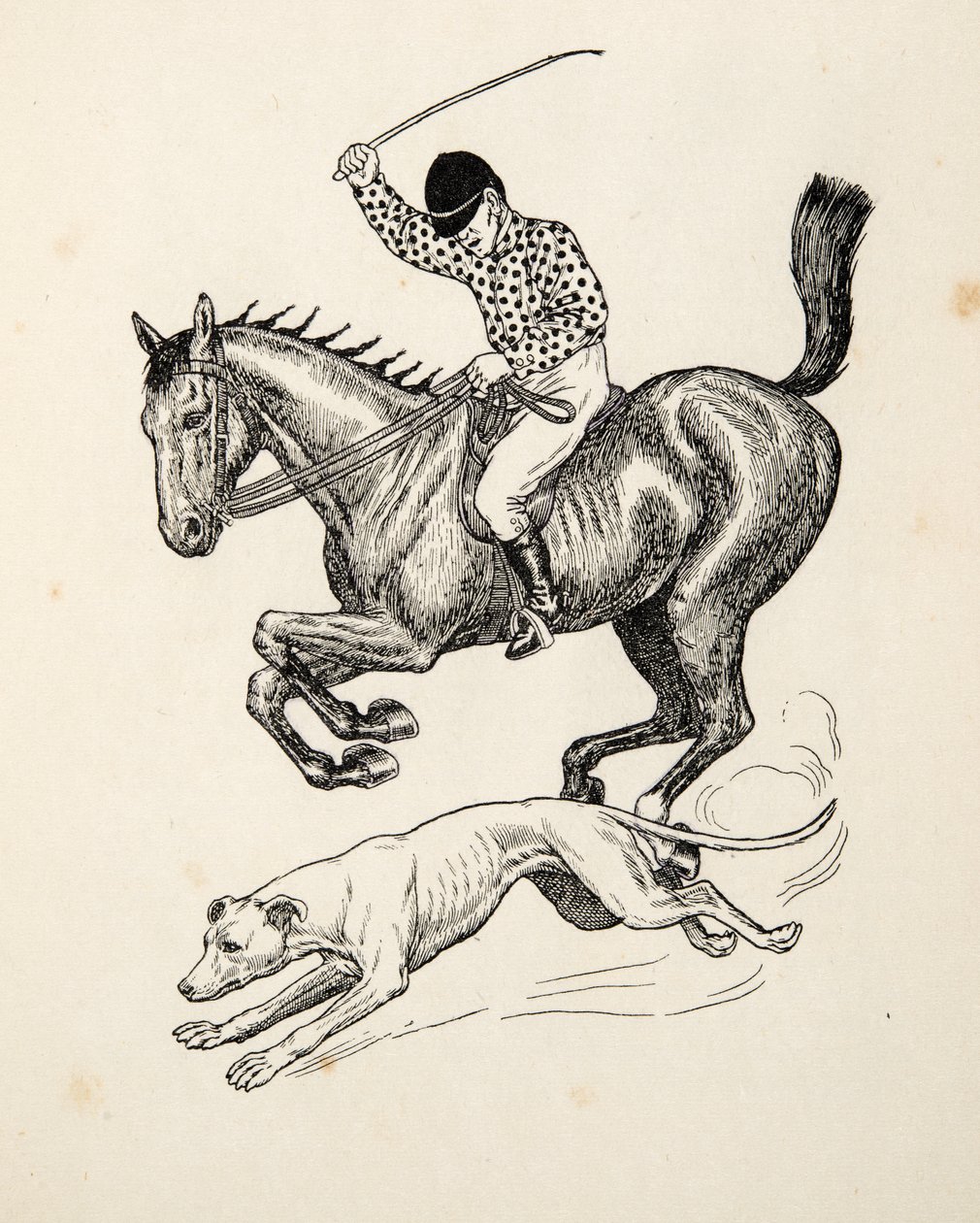 Das Pferd und der Windhund, aus Hundert Anekdoten über Tiere, veröffentlicht 1924 von Percy J. Billingshurst