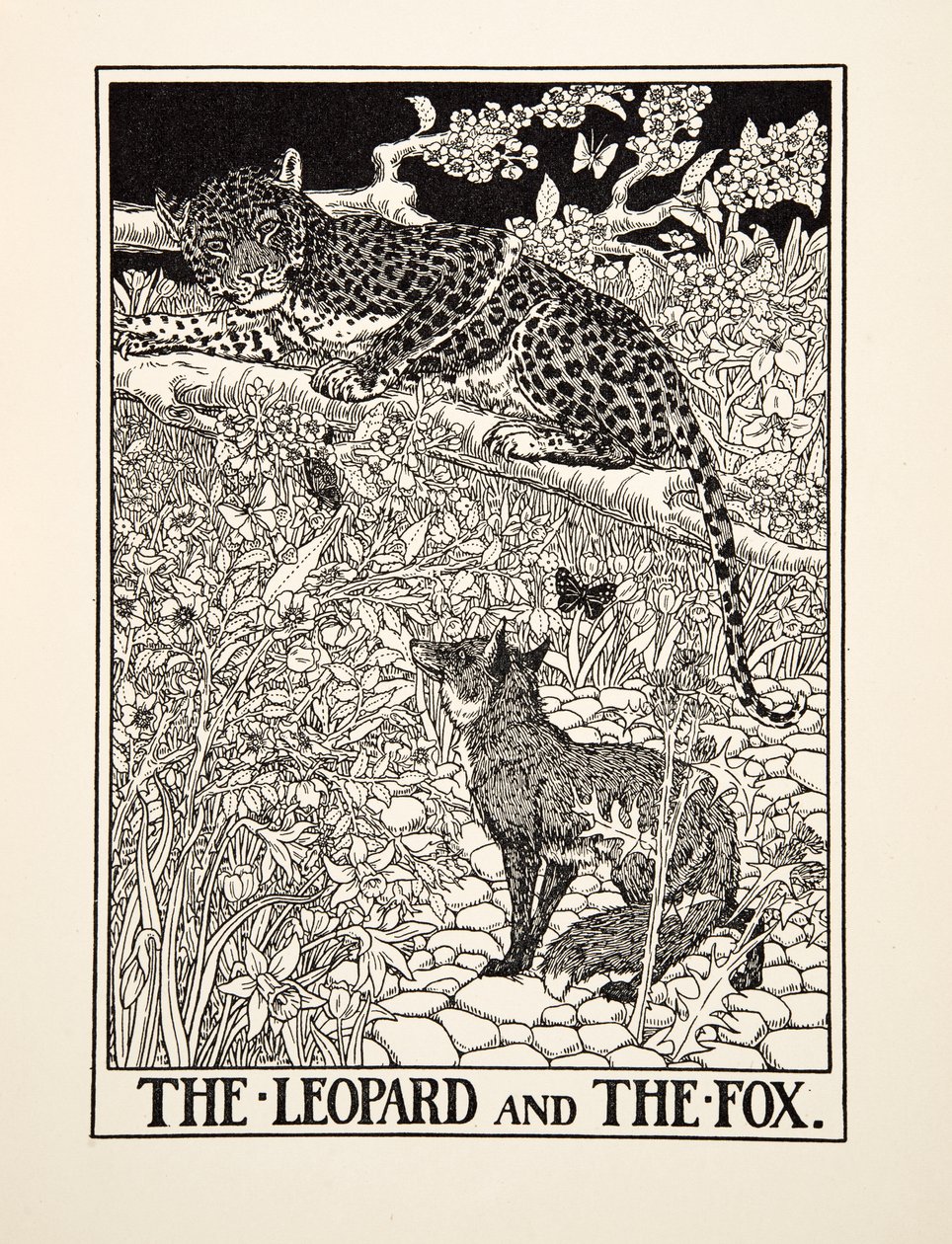 Der Leopard und der Fuchs, aus Hundert Fabeln von Aesop, veröffentlicht 1903 von Percy J. Billingshurst