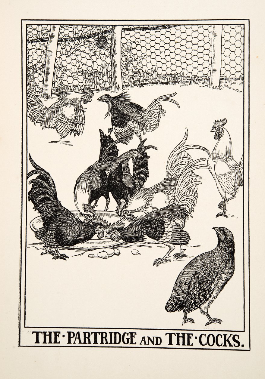 Das Rebhuhn und die Hähne, aus Hundert Fabeln von Äsop, veröffentlicht 1903 von Percy J. Billingshurst