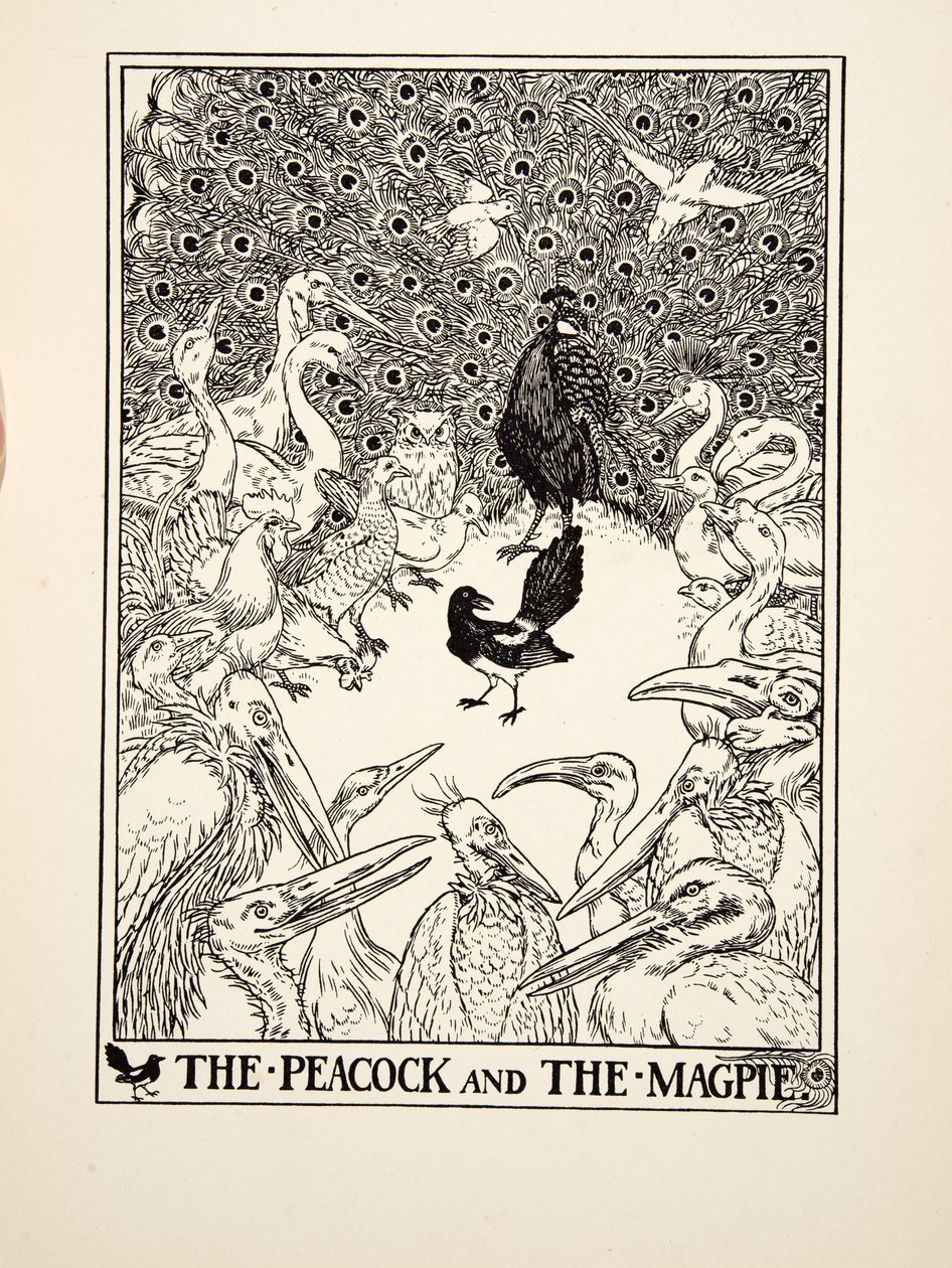 Der Pfau und die Elster, aus Hundert Fabeln von Äsop, veröffentlicht 1903 (Gravur) von Percy J. Billingshurst
