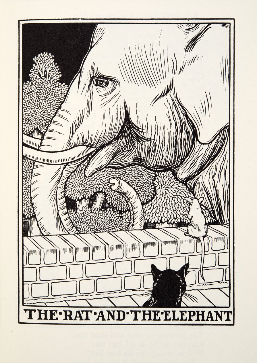 Die Ratte und der Elefant, aus Fontaine Fabeln, veröffentlicht 1905 von Percy J. Billingshurst