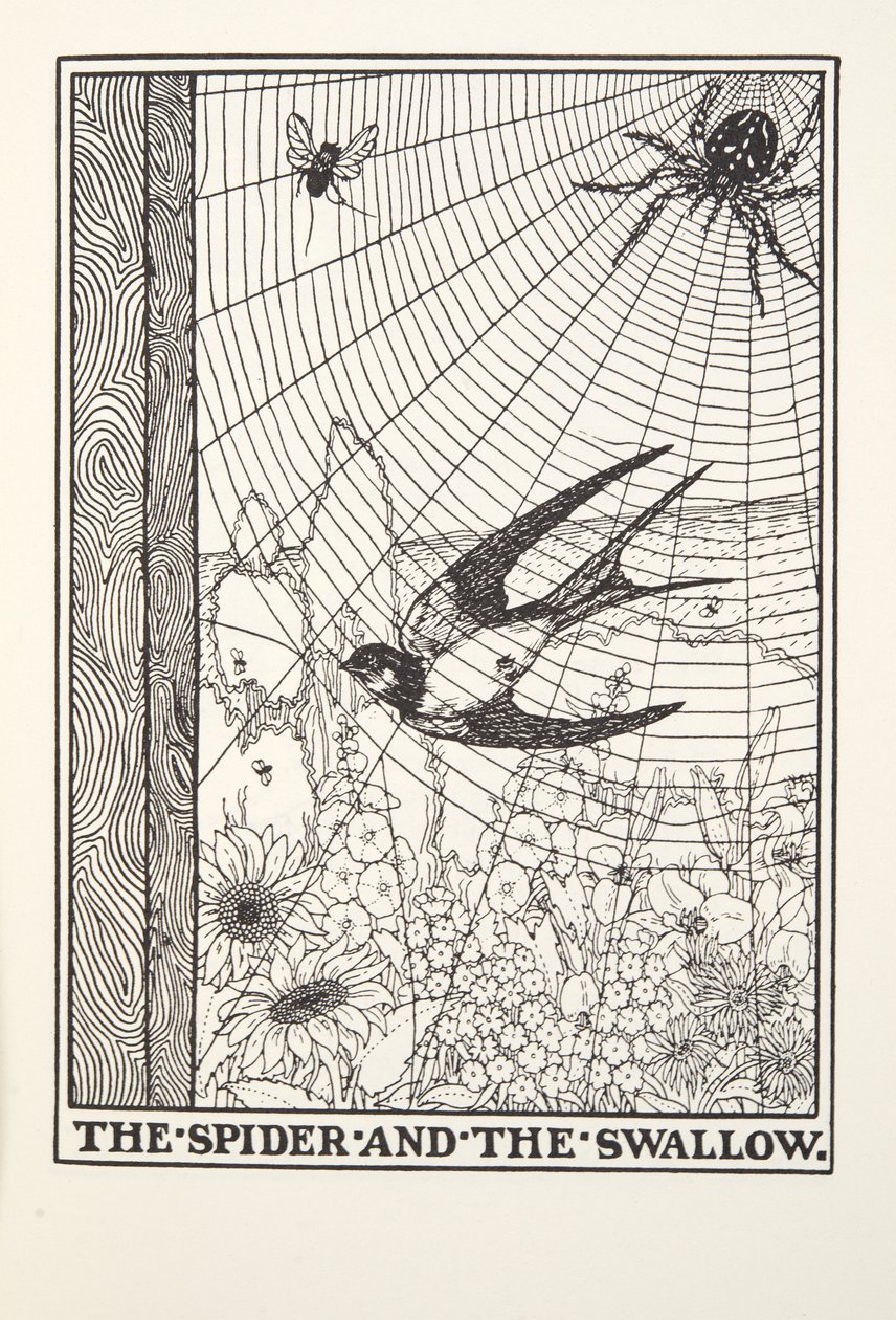 Die Spinne und die Schwalbe, aus Fontaine Fabeln, veröffentlicht 1905 von Percy J. Billingshurst