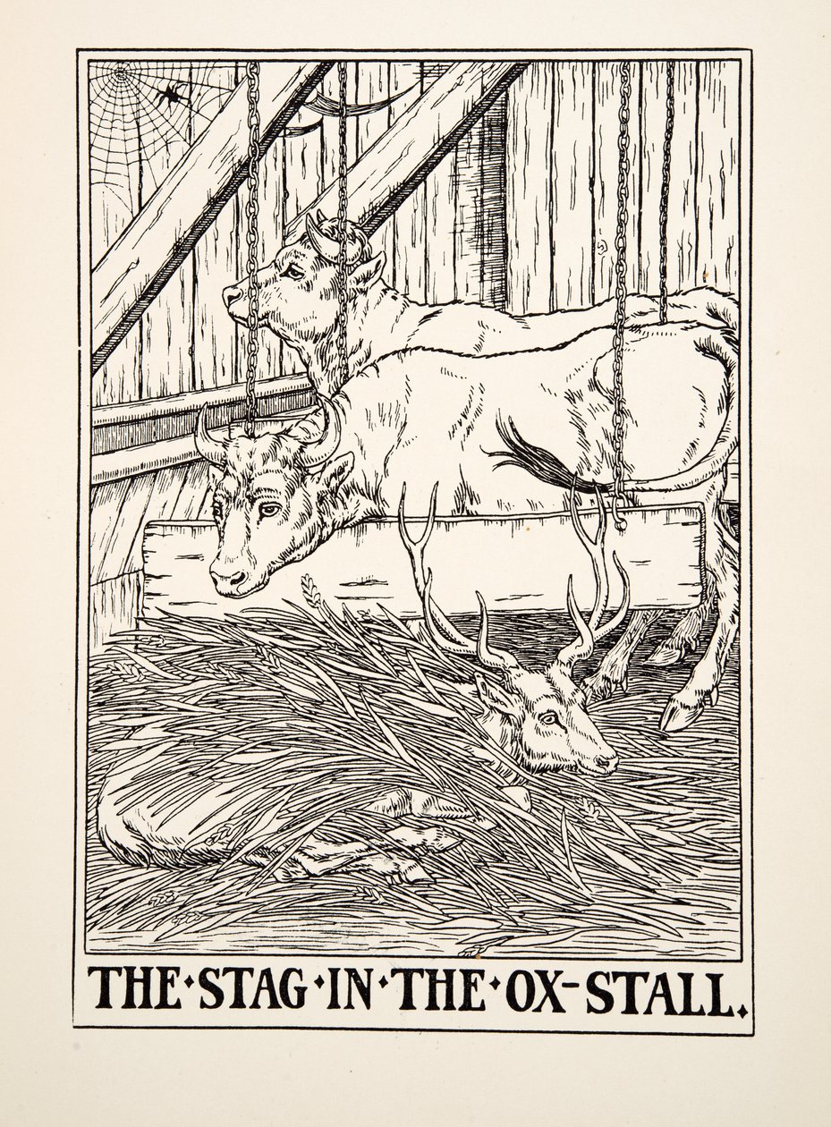 Der Hirsch im Ochsenstall, aus Hundert Fabeln von Äsop, veröffentlicht 1903 (Gravur) von Percy J. Billingshurst
