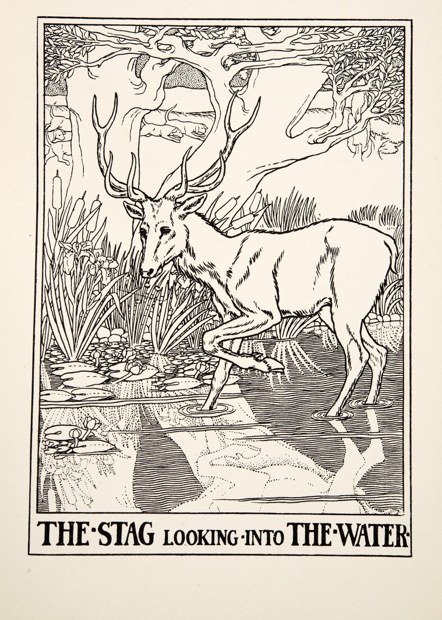Der Hirsch, der ins Wasser schaut, aus Hundert Fabeln von Äsop, veröffentlicht 1903 (Gravur) von Percy J. Billingshurst