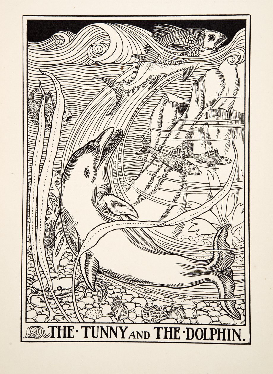 Der Thunfisch und der Delfin, aus Hundert Fabeln von Äsop, veröffentlicht 1903 von Percy J. Billingshurst