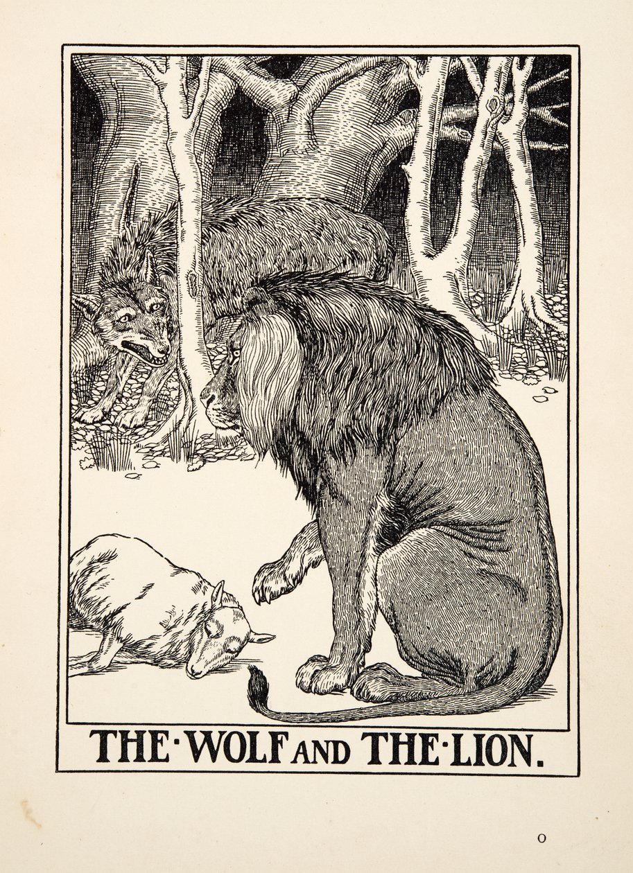 Der Wolf und der Löwe, aus Hundert Fabeln von Äsop, veröffentlicht 1903 (Gravur) von Percy J. Billingshurst