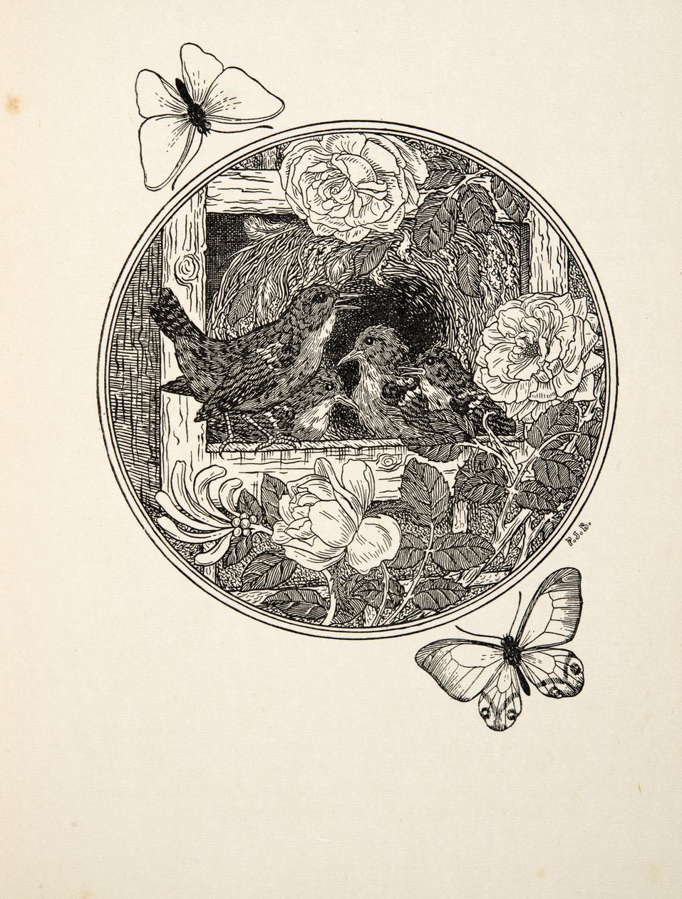 Zaunkönige lernen zu singen, aus Hundert Anekdoten über Tiere, veröffentlicht 1924 von Percy J. Billingshurst