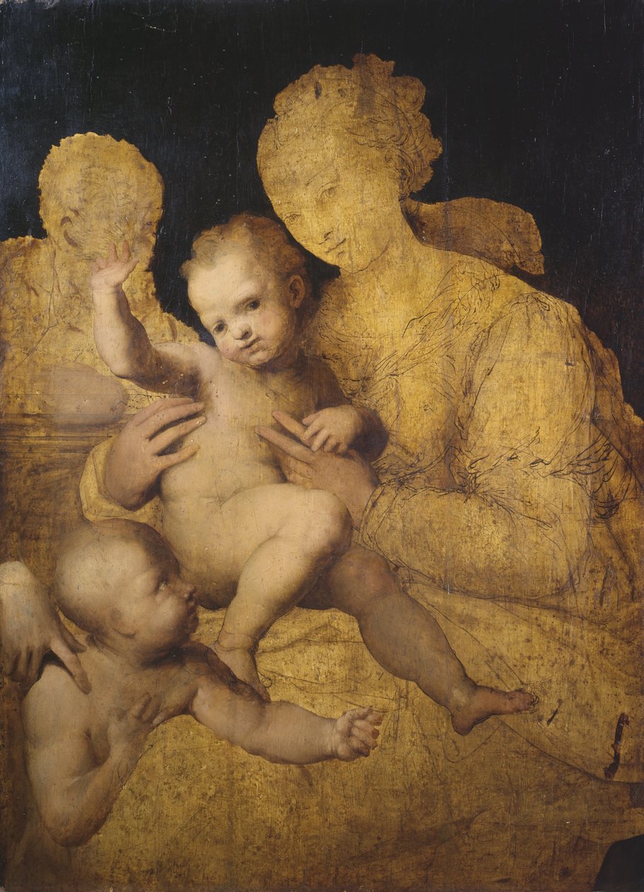 Heilige Familie mit Johannes dem Täufer von Perino del Vaga