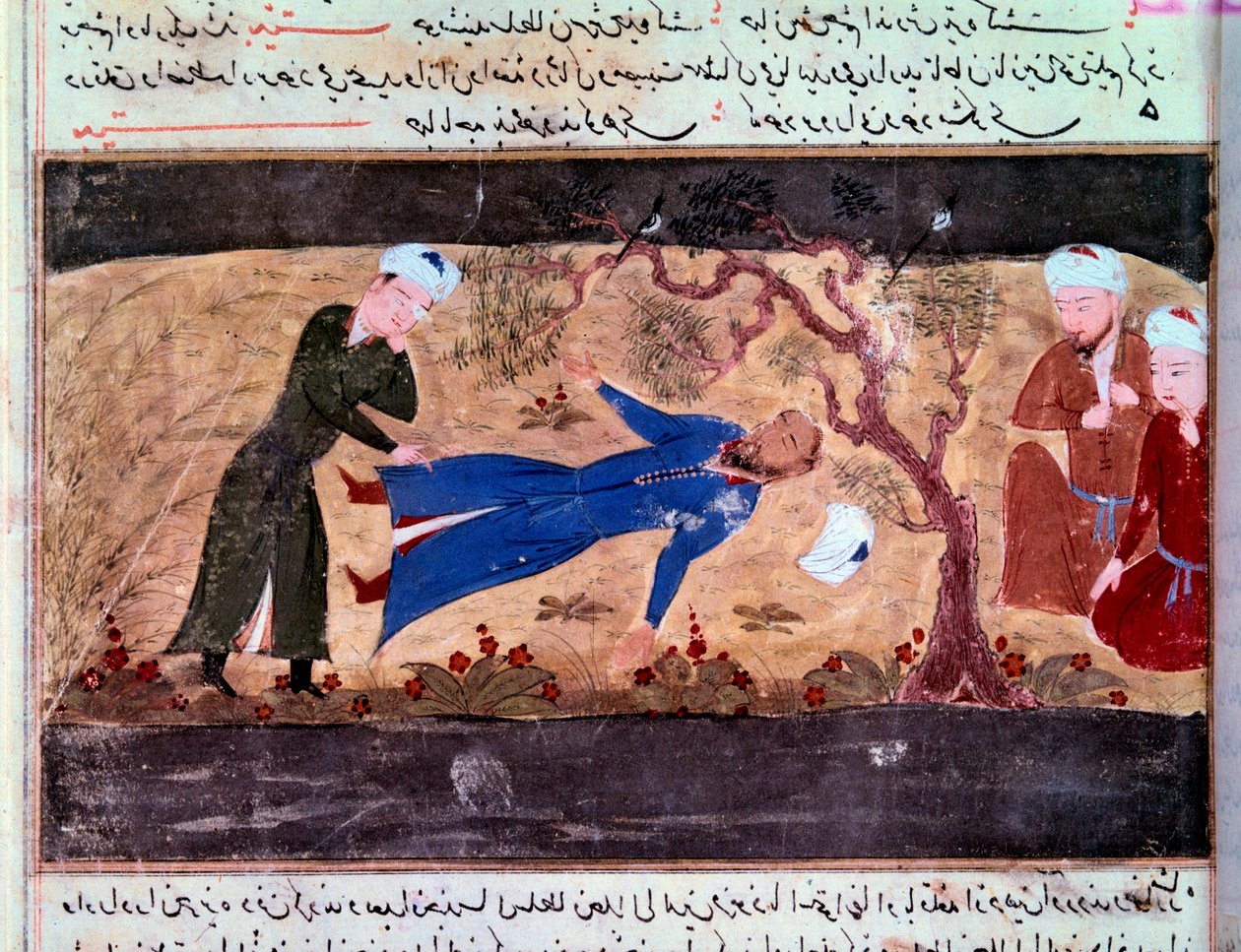 Geschichte der Mongolen: Der Tod von Muhammad Hwarazmshah. Manuskript 