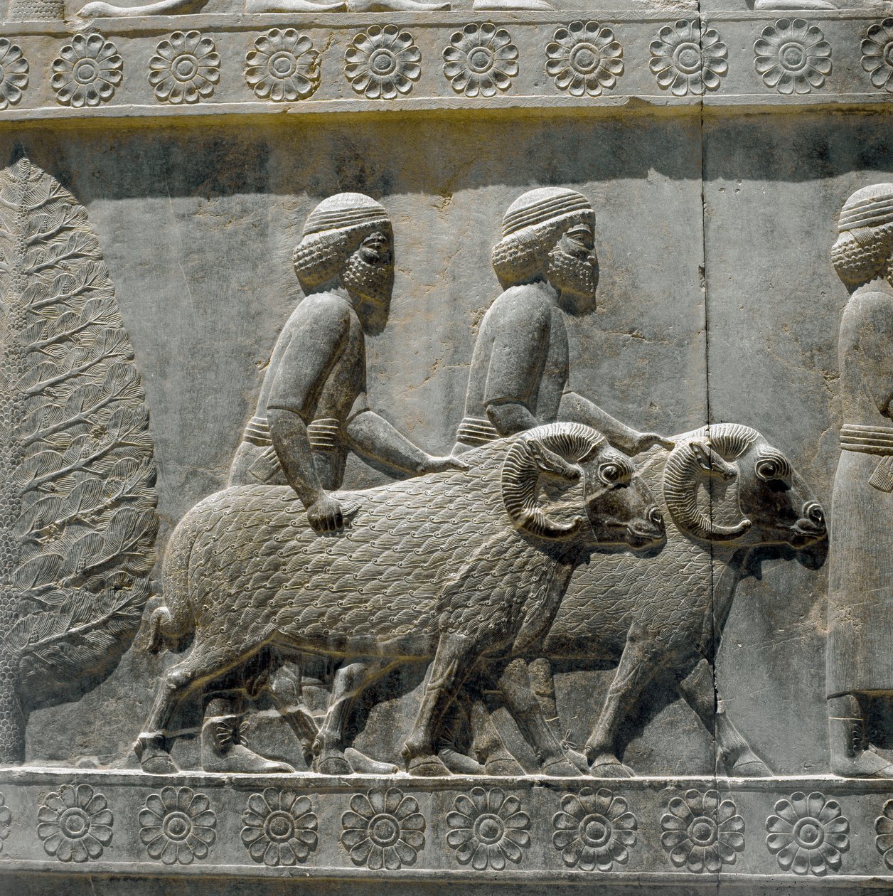 Sogdianer bringen Geschenke zu Darius I. von Persian School