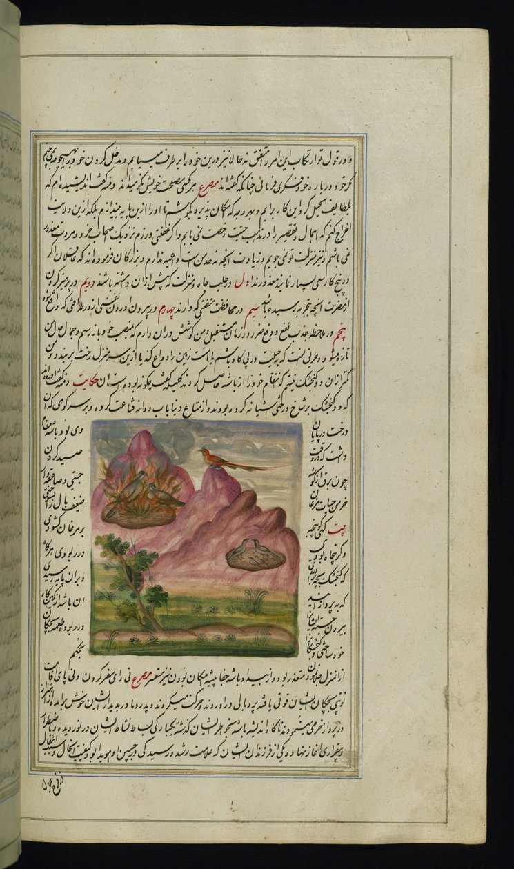 Zwei brennende Spatzen und ein Falke aus Lichter von Canopus von Persian School