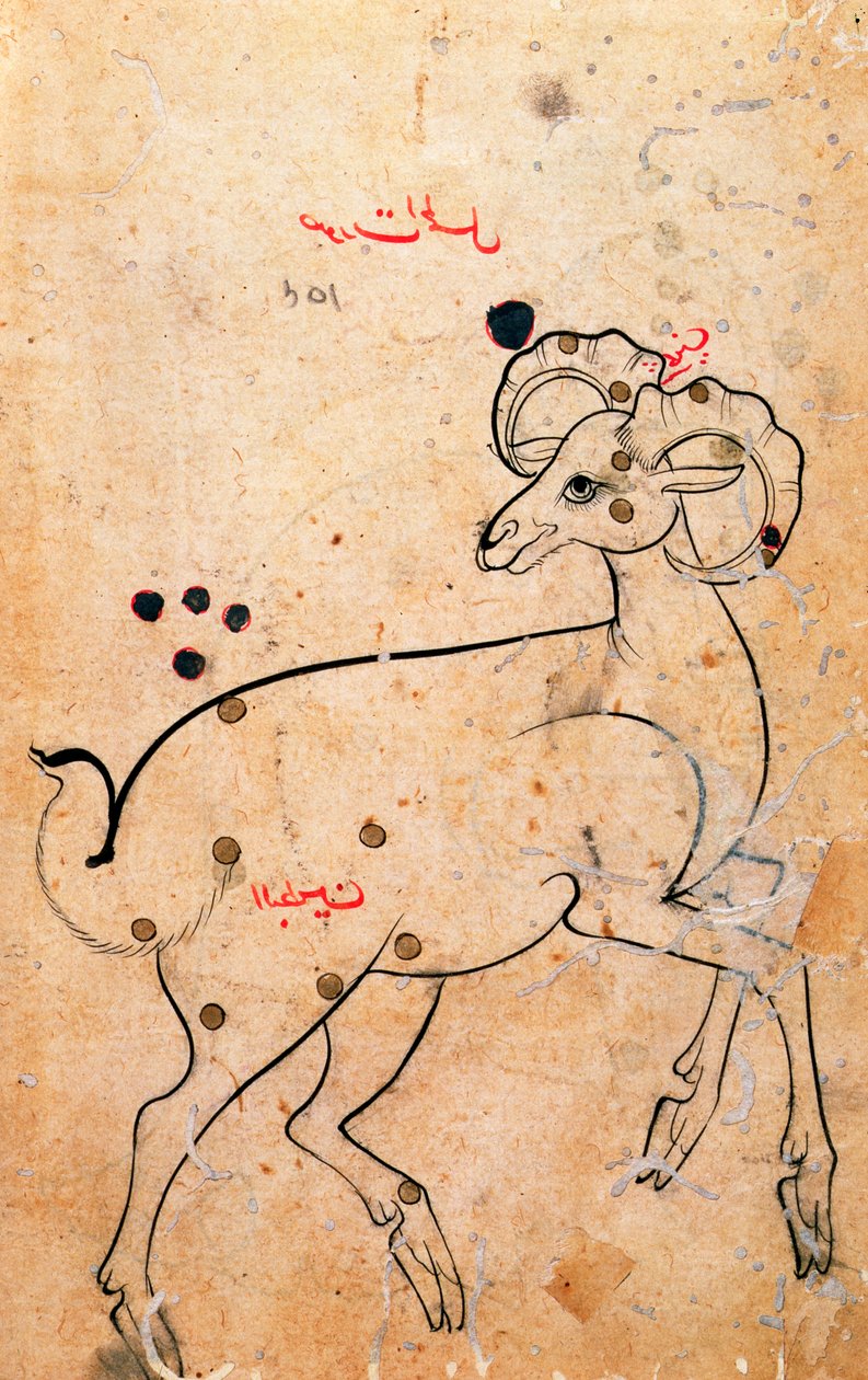 f.154a Widder, der Ram, persisch, aus Isfahan oder Shiraz, ca. 1600 von Persian School