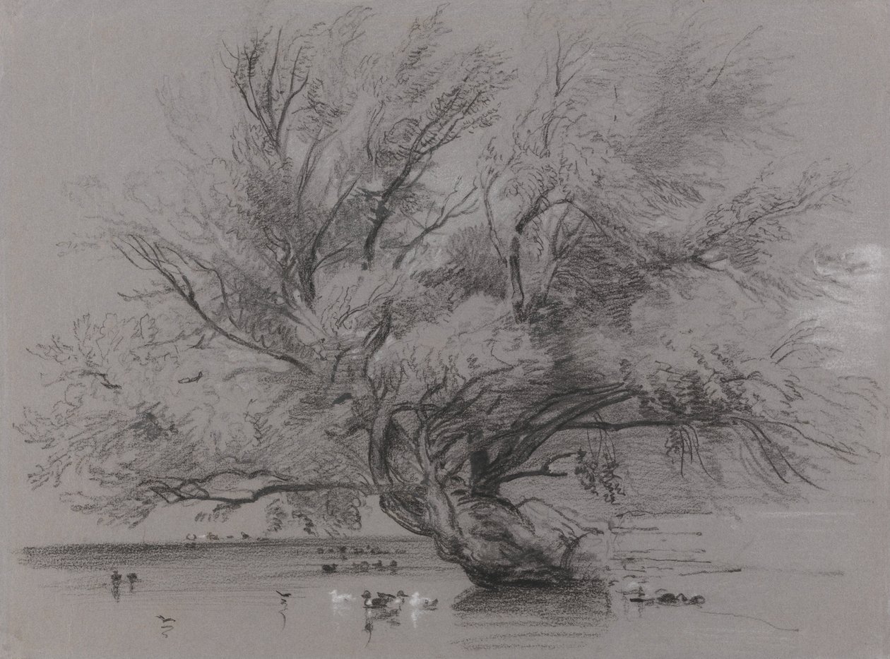 Teich mit Weidenbaum und Enten von Peter de Wint
