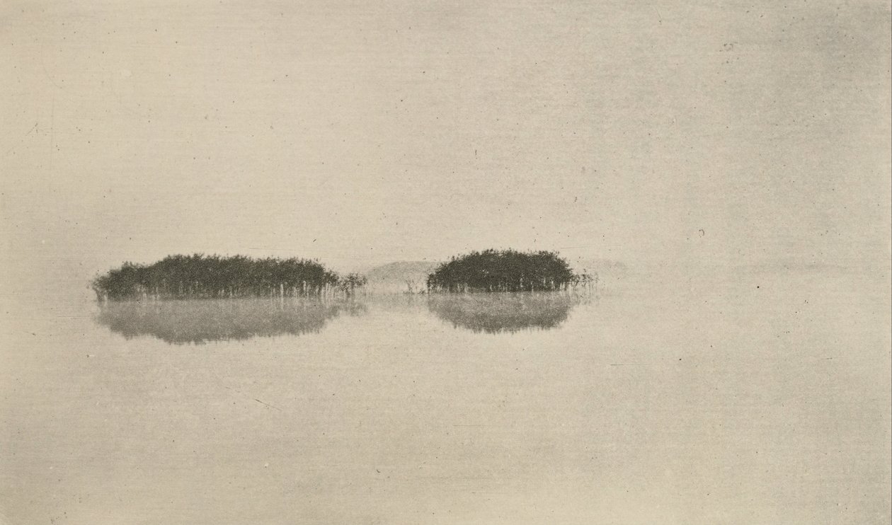 Die einsame Lagune von Peter Henry Emerson