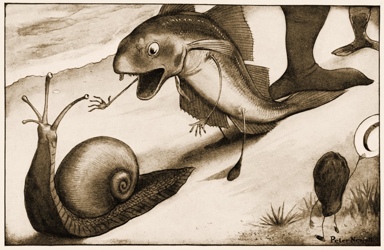 "Willst du ein wenig schneller gehen?" sagte ein Wittling zu einer Schnecke, Illustration für Lewis Carrolls Alice im Wunderland, 1901 von Peter Newell