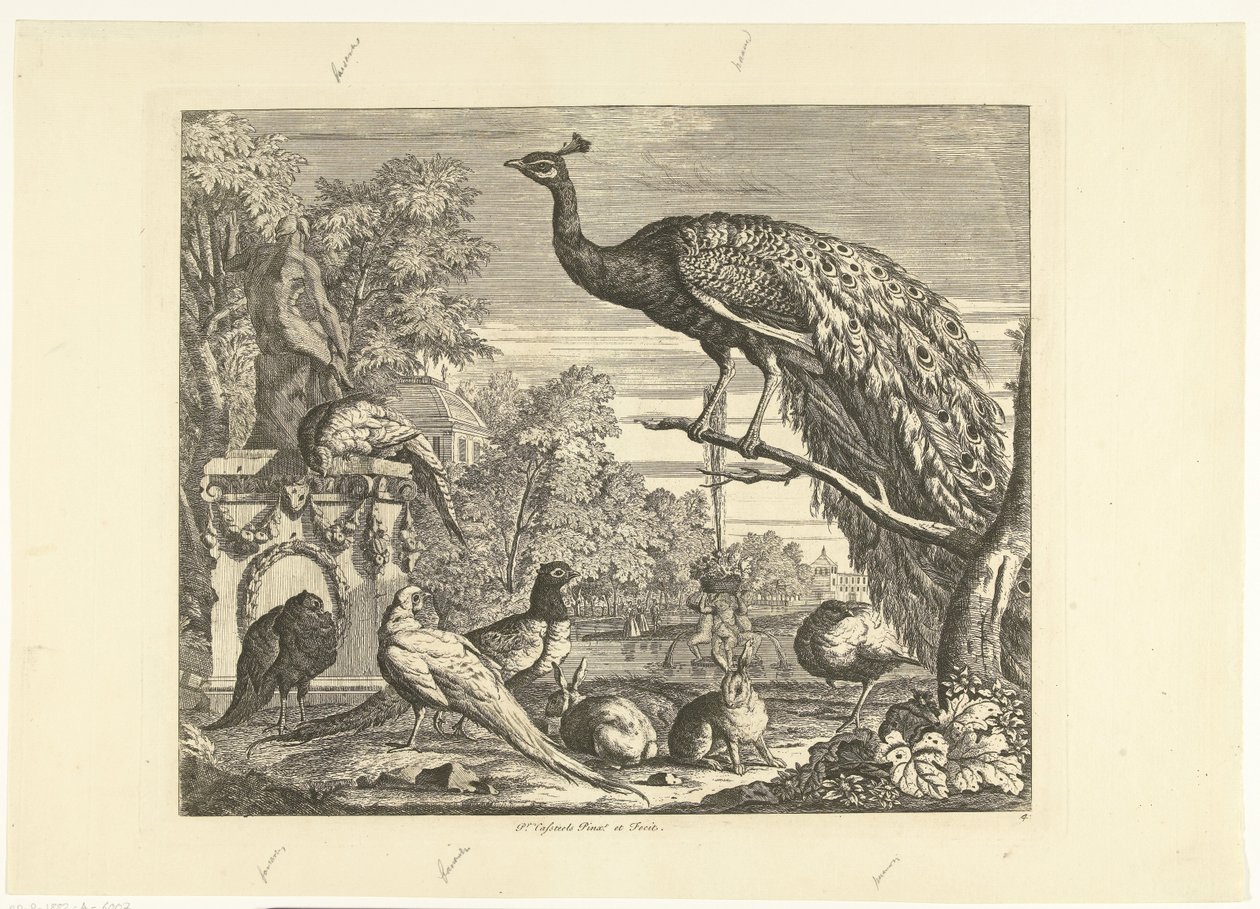 Pfau, Kaninchen und andere Vögel bei einem Gartenbrunnen (Verschiedene Vögel) von Peter Casteels (III)