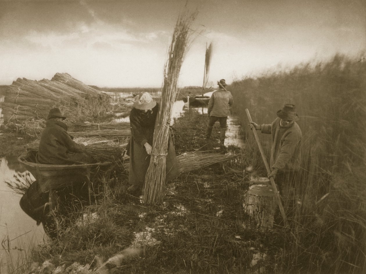 Während der Schilfernte, Leben und Landschaft auf den Norfolk Broads, ca. 1886 von Peter Emerson und Thomas Goodall
