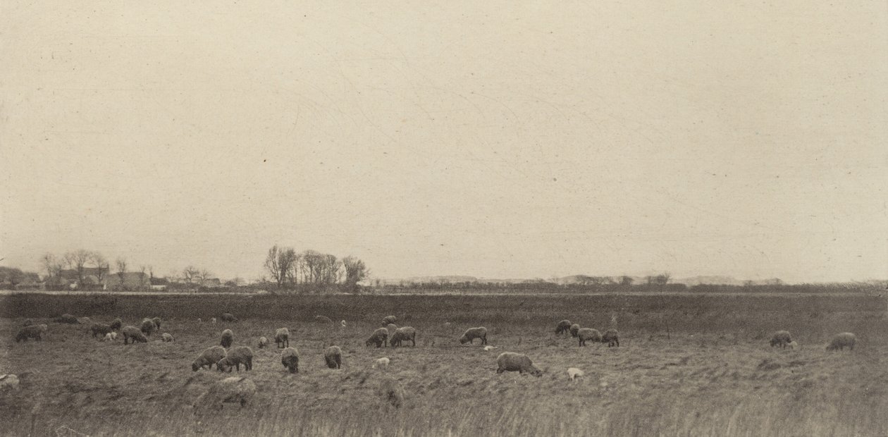 Sümpfe an der Nordsee, 1890-1891, gedruckt 1893 von Peter Henry Emerson