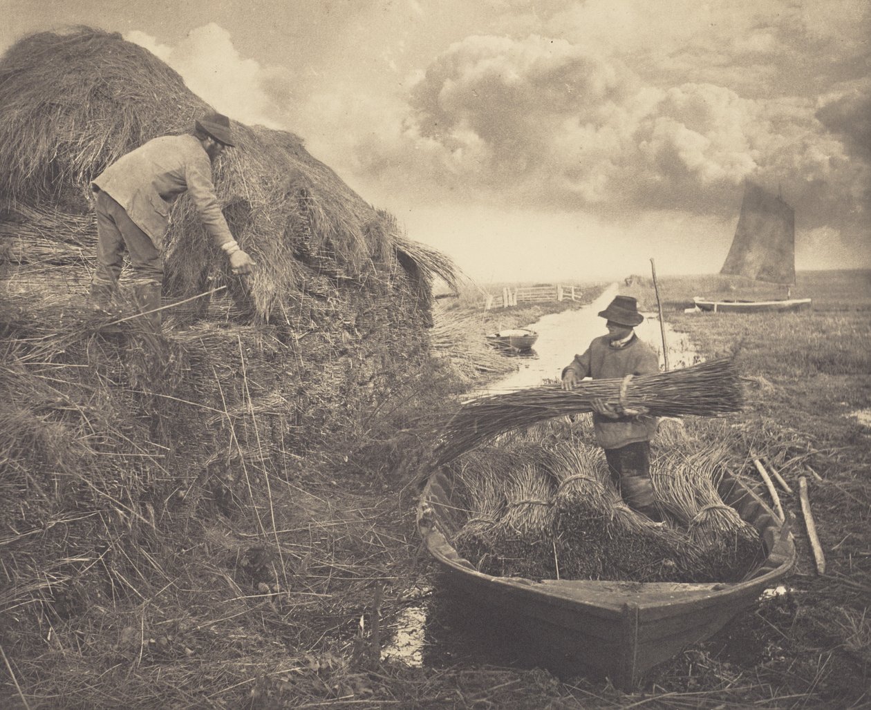 Schilfrohr ernten von Peter Henry Emerson