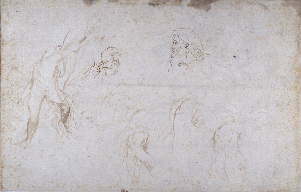 Studien einer männlichen Figur und zweier männlicher Köpfe, ca. 1601 von Peter Paul Rubens