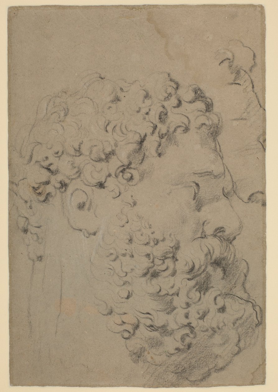 Studien des Kopfes und Profils des Farnese-Herkules aus einer tieferen Perspektive von Peter Paul Rubens