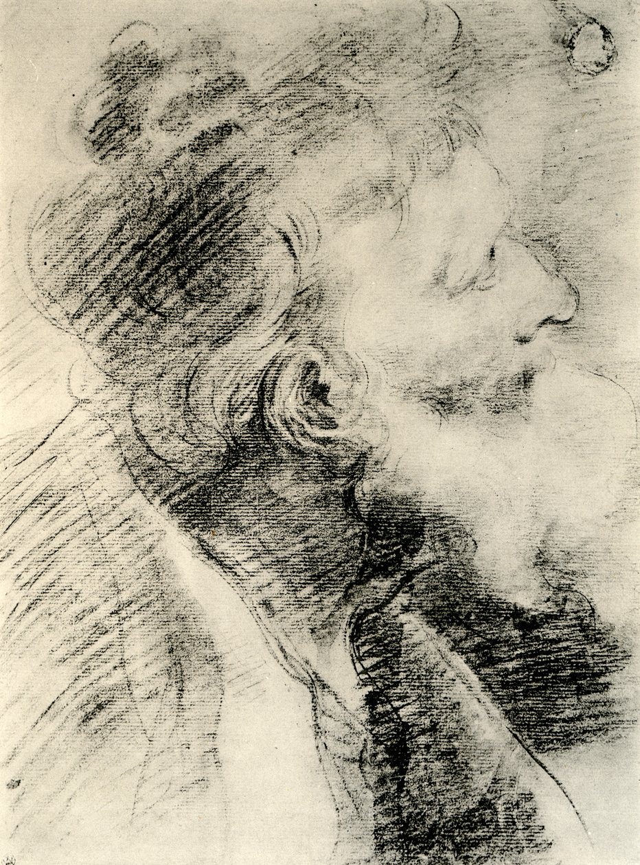 Studie für den Kopf eines alten Mannes, 1913 von Peter Paul Rubens