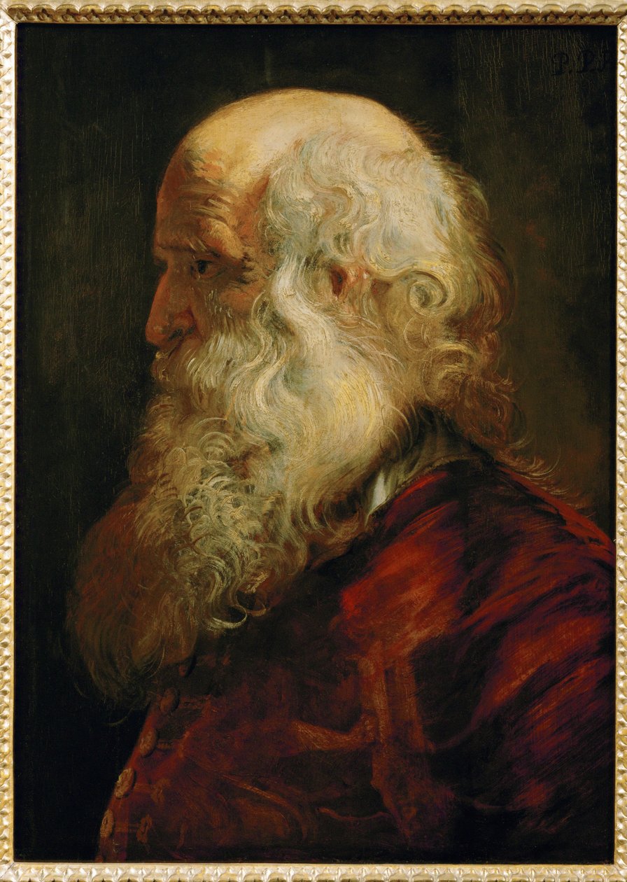 Studie eines alten Mannes, um 1610 von Peter Paul Rubens