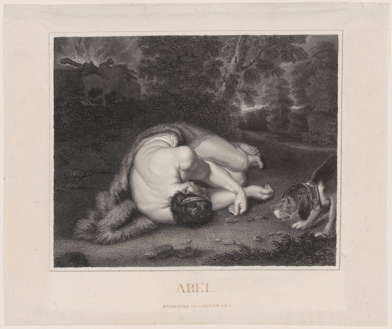 Der Tod Abels von Peter Paul Rubens