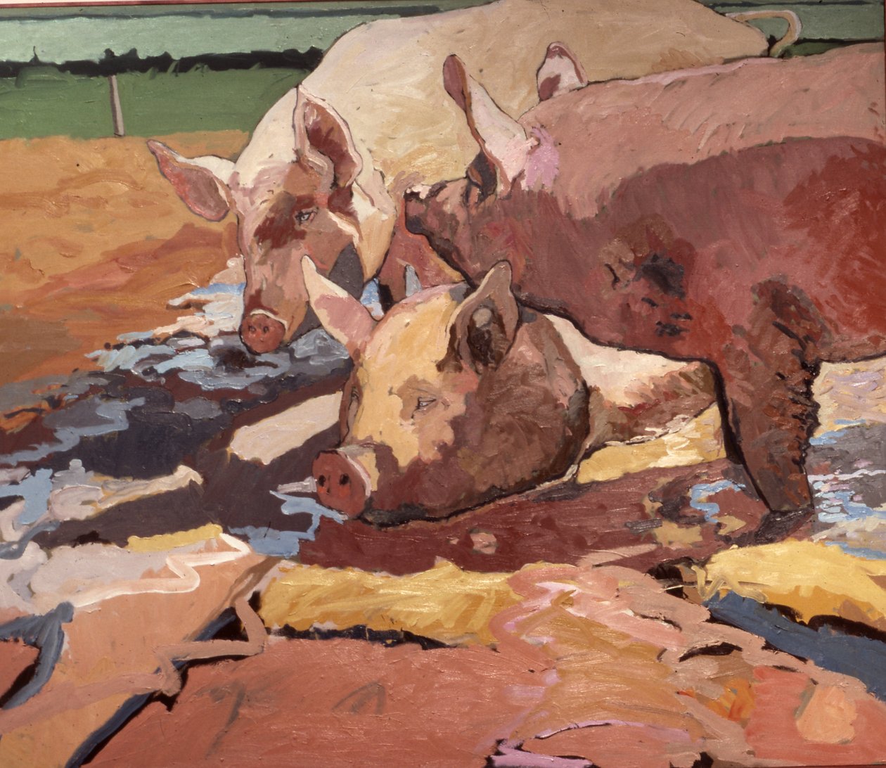 Schweine im Sonnenlicht und Schlamm von Peter Wilson