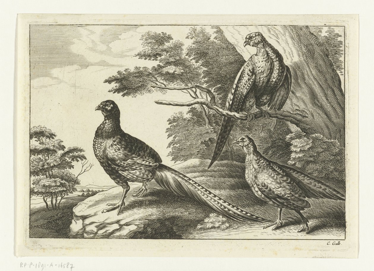 Drei Fasane von Peter van Liesebetten