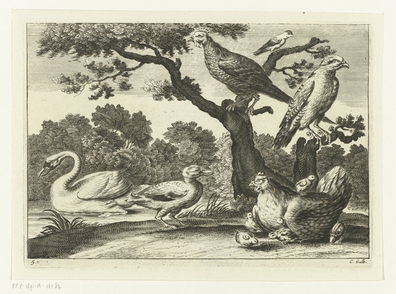 Schwan, Henne mit Küken und andere Vögel von Peter van Liesebetten