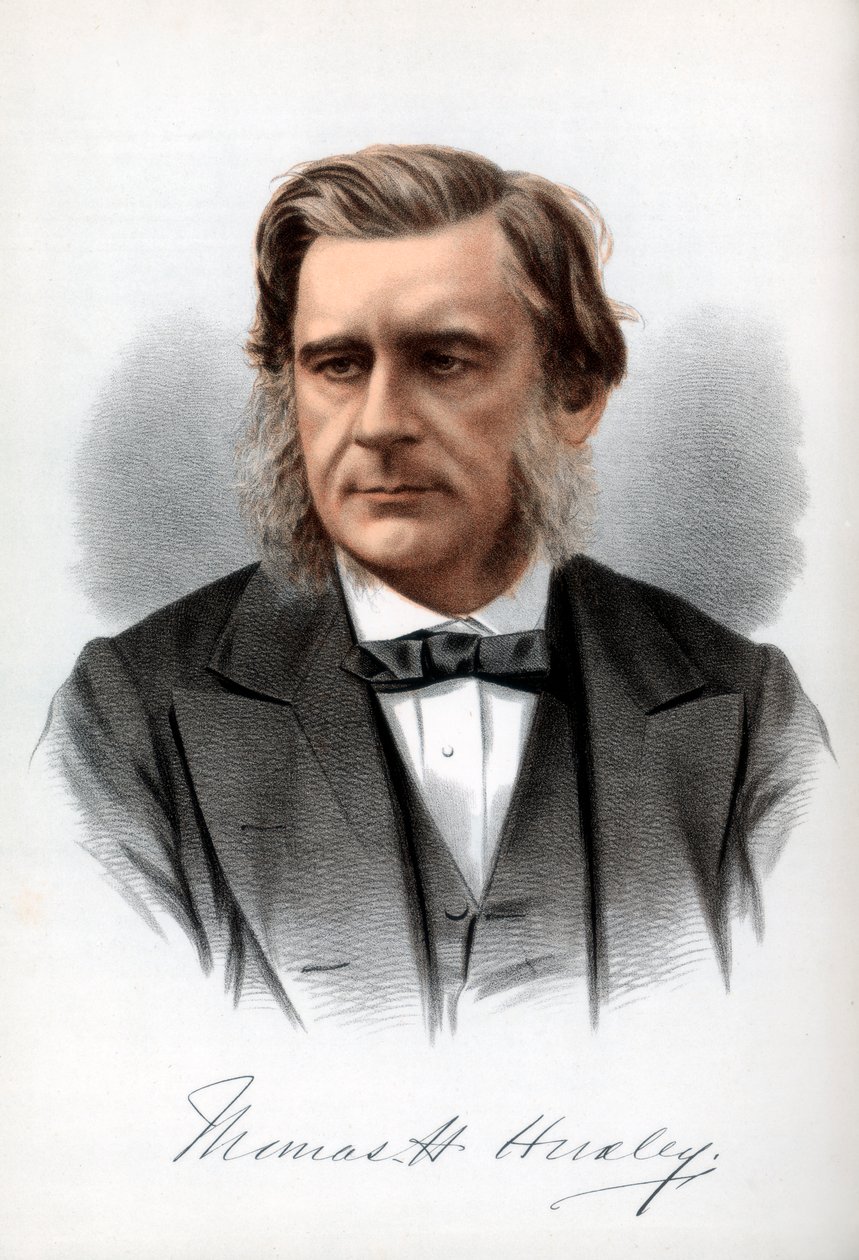 Thomas Henry Huxley, englischer Biologe, ca. 1890 von Petter and Galpin Cassell