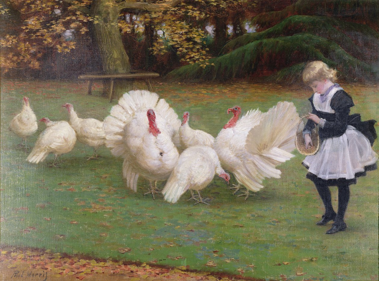Fütterungszeit von Philip Richard Morris