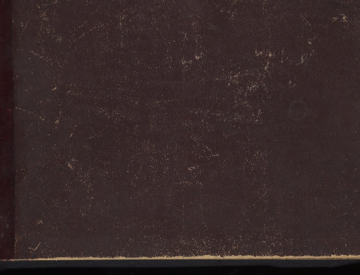 Album mit Darstellungen zur Familiengeschichte des Hauses Medici von Philips Galle
