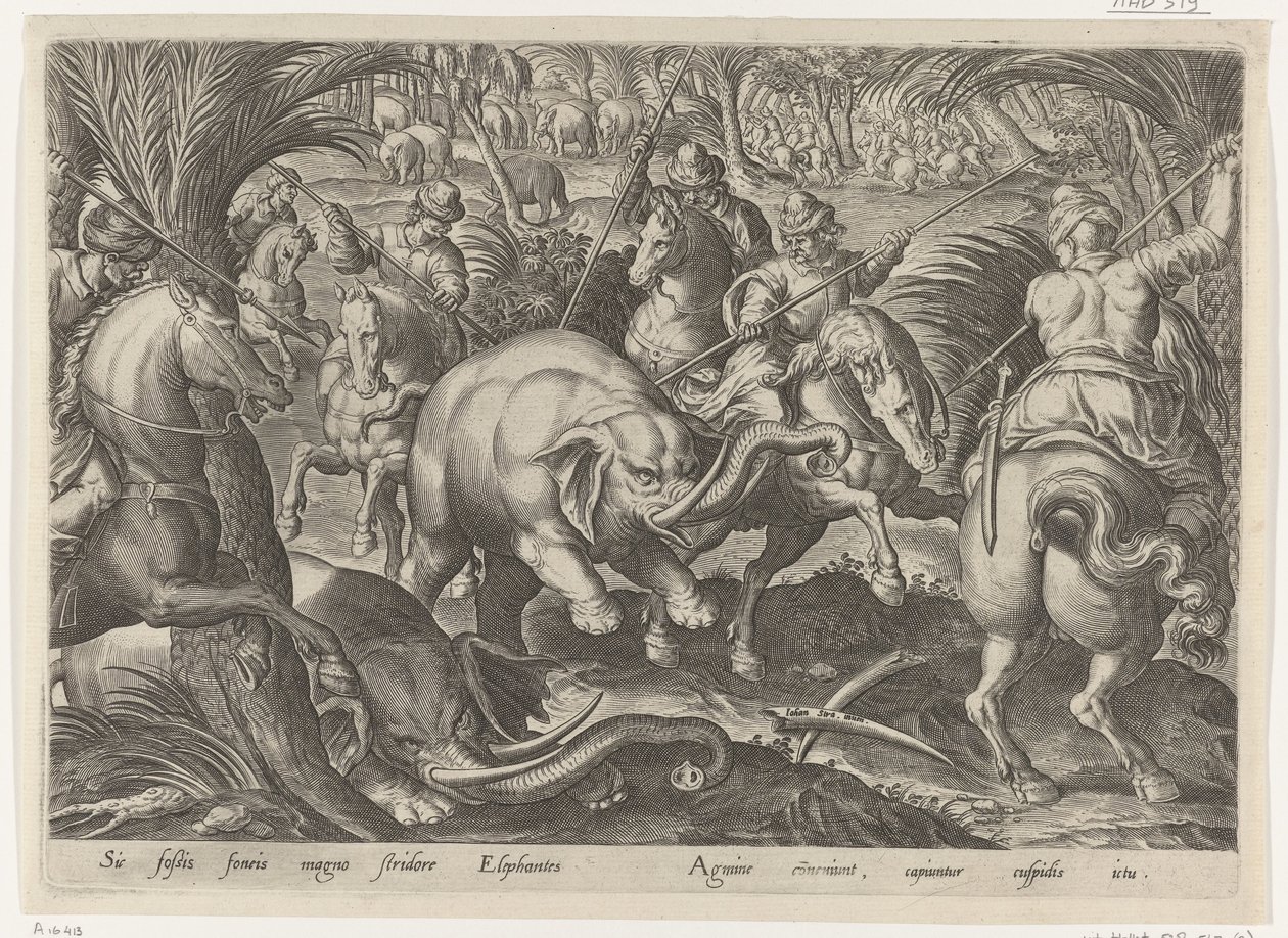 Elefantenjagd von Philips Galle